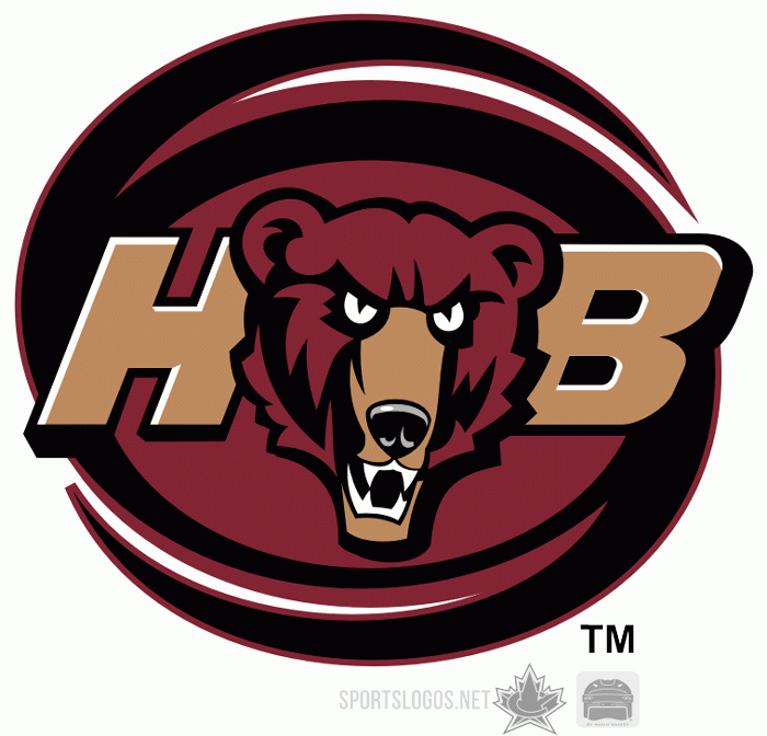Hershey Bears 2003 04-2011 12 Secondary Logo iron on transfers for clothing